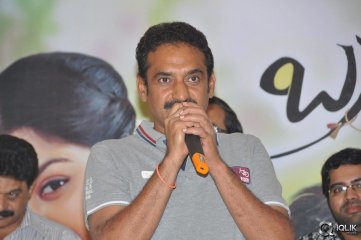 Brother Of Bommali Movie Success Meet